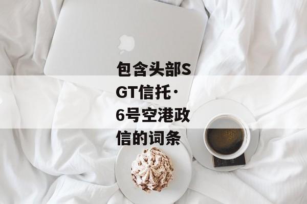 包含头部SGT信托·6号空港政信的词条