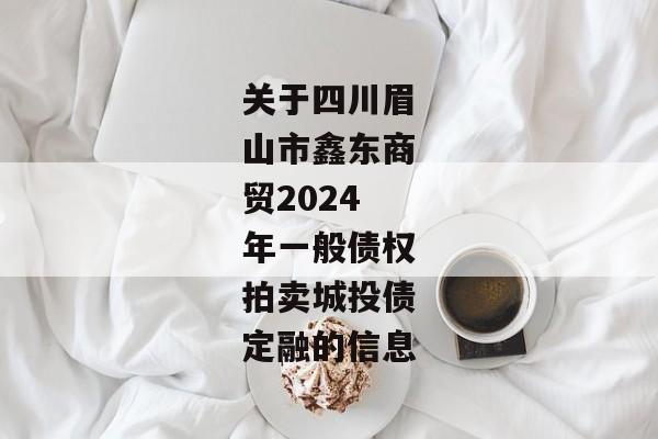 关于四川眉山市鑫东商贸2024年一般债权拍卖城投债定融的信息