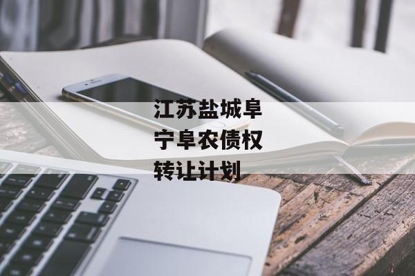 江苏盐城阜宁阜农债权转让计划