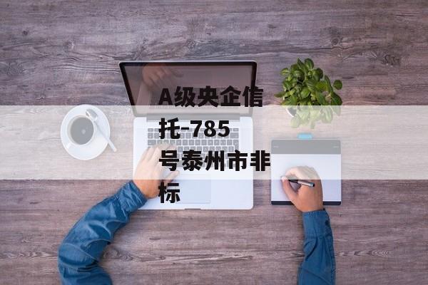 A级央企信托-785号泰州市非标