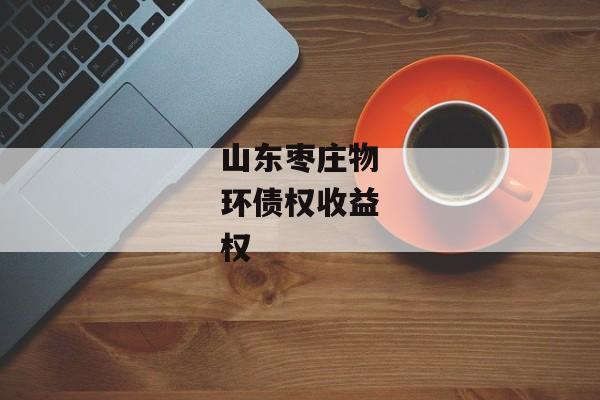 山东枣庄物环债权收益权