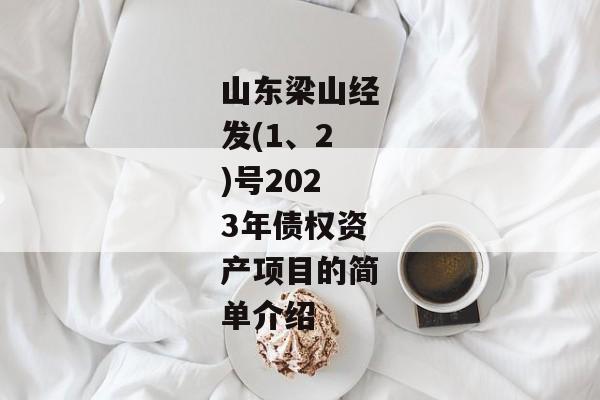 山东梁山经发(1、2)号2023年债权资产项目的简单介绍