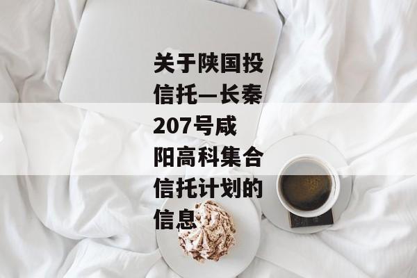 关于陕国投信托—长秦207号咸阳高科集合信托计划的信息