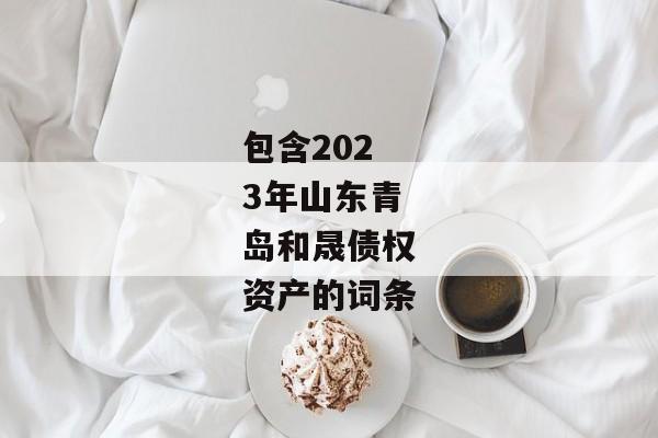 包含2023年山东青岛和晟债权资产的词条