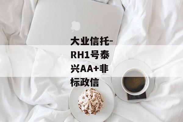 大业信托-RH1号泰兴AA+非标政信